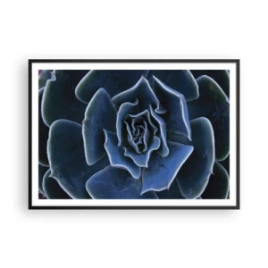 Poster în ramă neagră - Floare de deșert - 100x70 cm