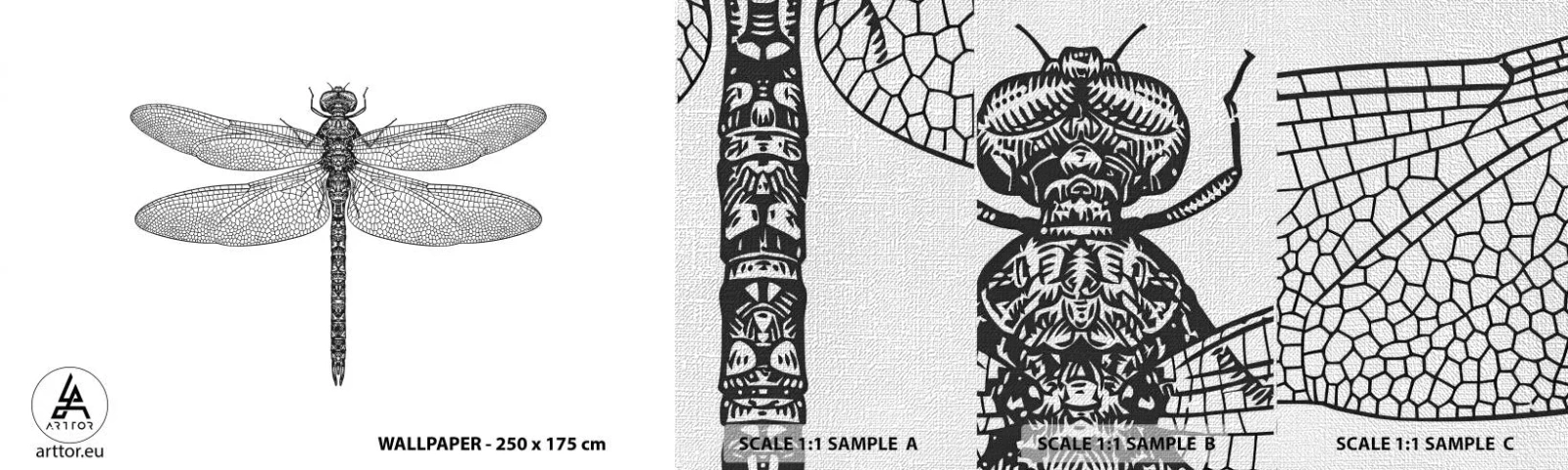 Mostră tapet Premium Canvas - Precizia naturii - libelulă, Insectă, Minimalist - 100x30 cm