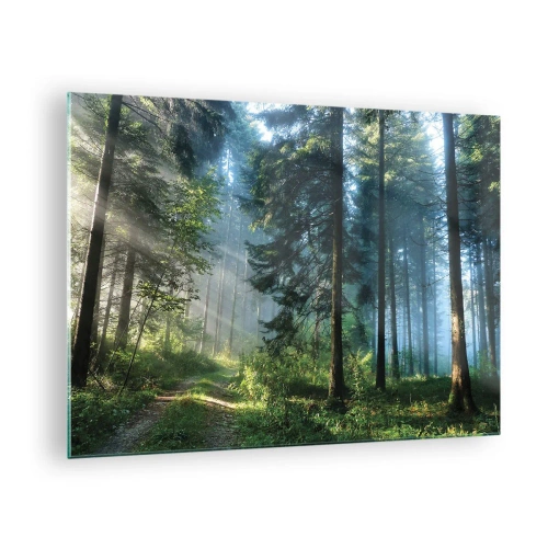 Tablou pe sticlă - O cărare de pădure în ceața dimineții printre copaci înalți - 70x50cm - Strălucirea de dimineață - Decorațiune modernă pentru perete pentru living și dormitor ARTTOR