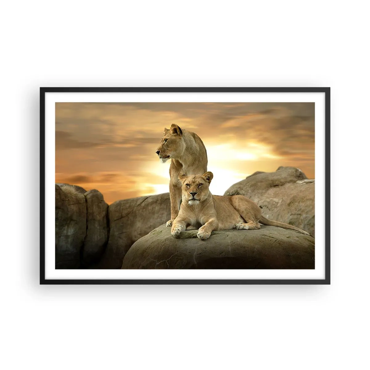 Poster în ramă neagră - Maiestate regală - 91x61 cm