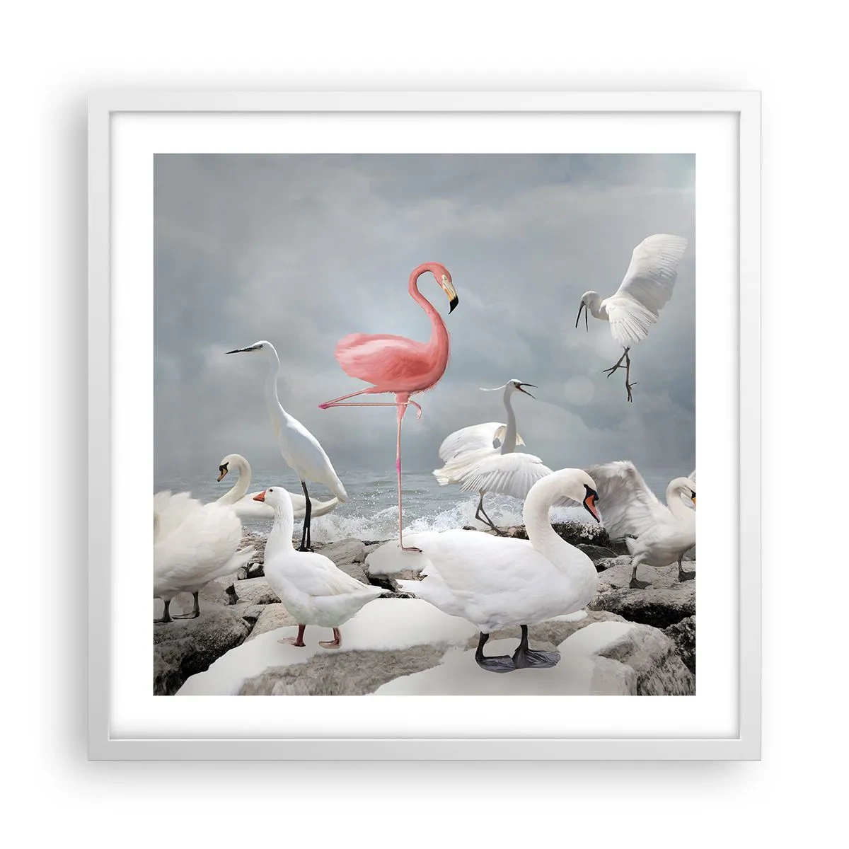 Poster în ramă albă - De unde am venit? - 50x50 cm