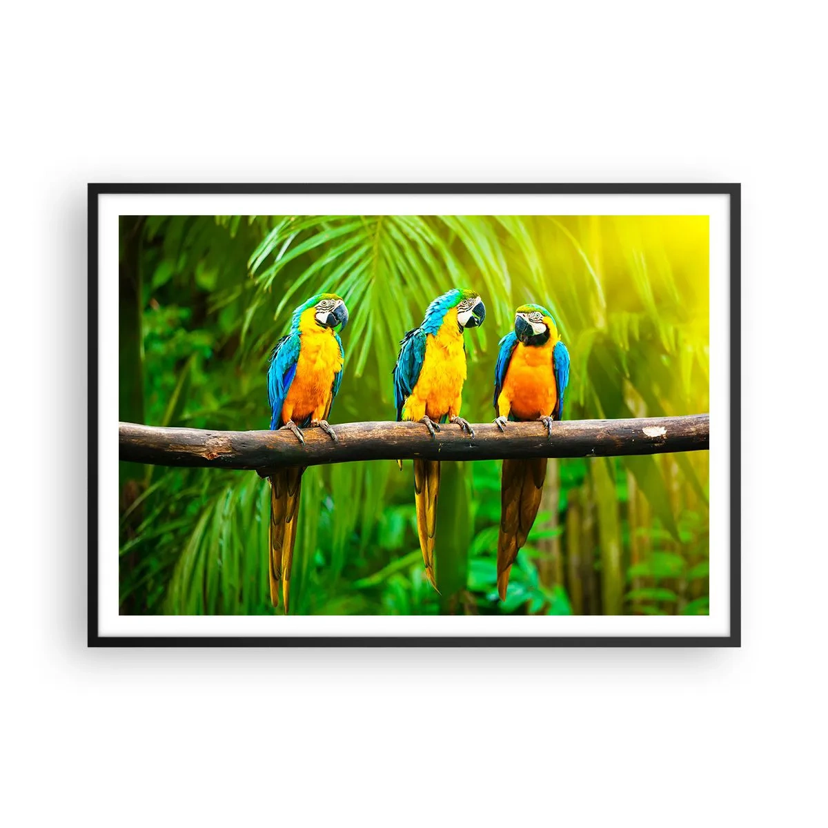 Poster în ramă neagră - Și ai auzit că ea...? - 100x70 cm
