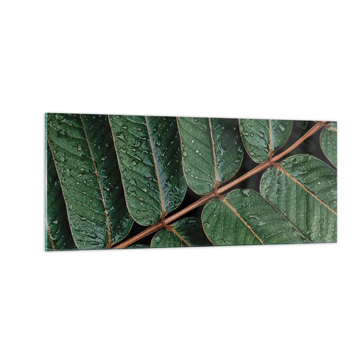 Tablou pe sticlă - Într-un ritm verde - 100x40 cm