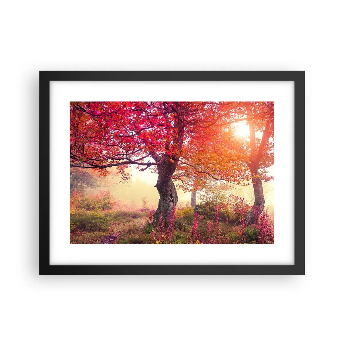 Poster în ramă neagră - O frenezie de înflorire - 40x30 cm