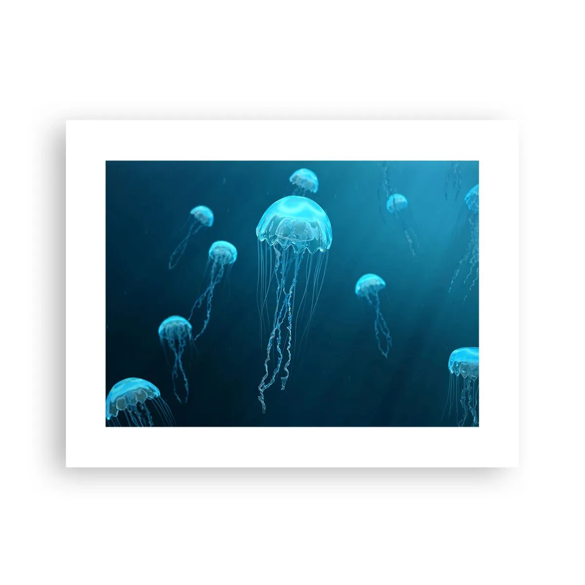Poster - Dansul oceanic - 40x30 cm