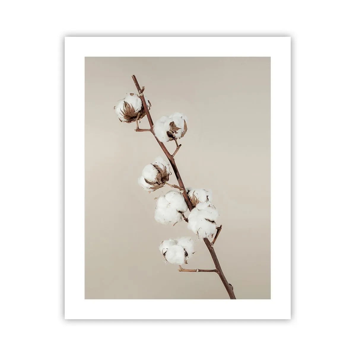 Poster - La sursa moliciunii - 40x50 cm