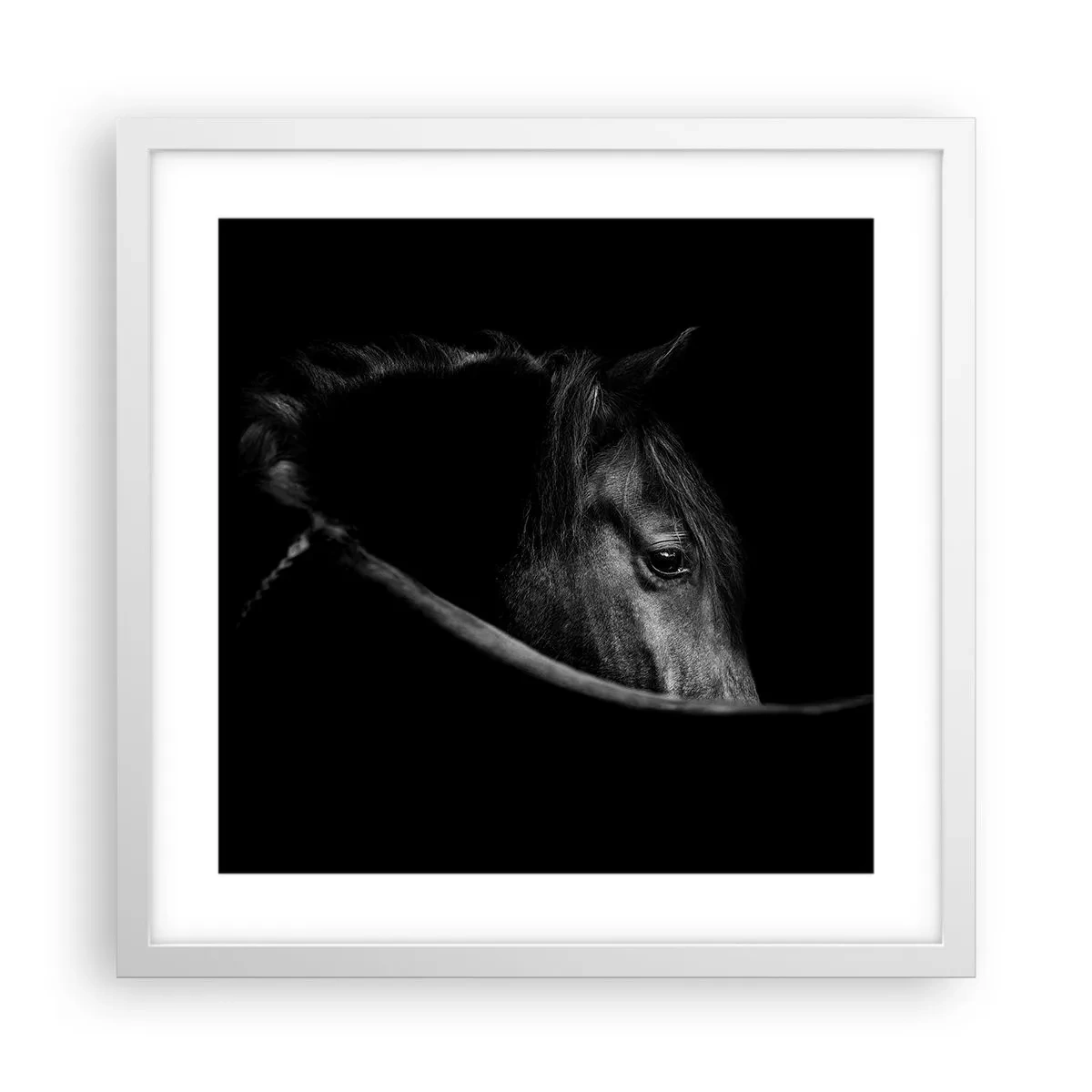 Poster în ramă albă - Prințul negru - 40x40 cm