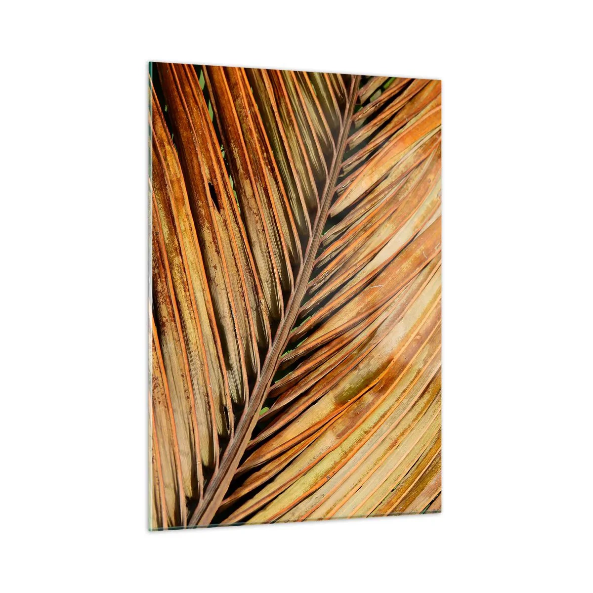 Tablou pe sticlă - Aur de nucă de cocos - 50x70 cm