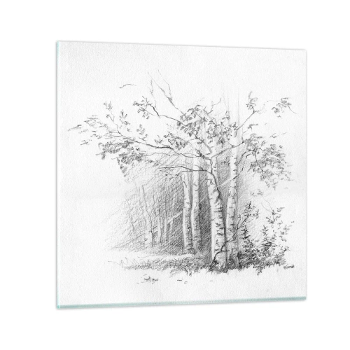 Tablou pe sticlă - Lumina pădurii de mesteceni - 60x60 cm