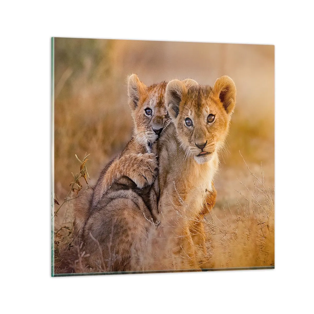 Tablou pe sticlă - Nu deranjați! Ne distrăm - 50x50 cm