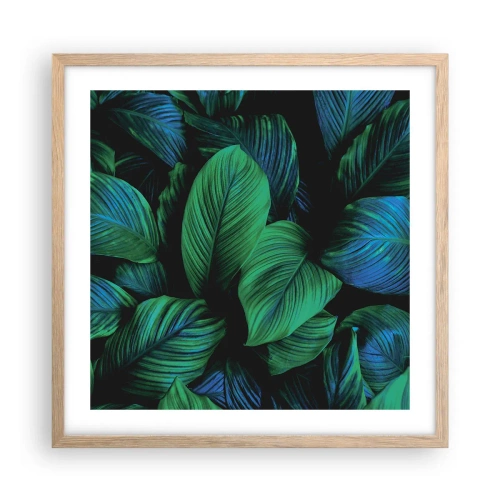 Poster în ramă de stejar deschis - Traficul verde - 50x50 cm