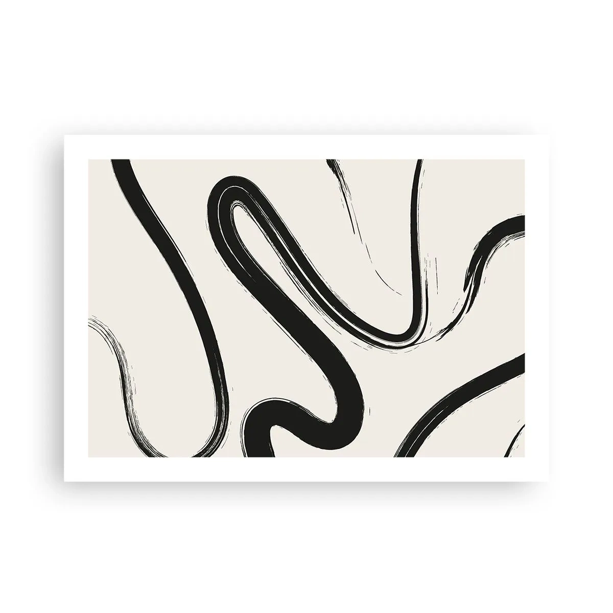 Poster - Capriciu în alb și negru - 70x50 cm
