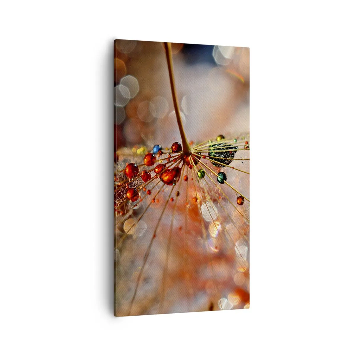 Tablou pe pânză - Înfipt pe pânza de păianjen - 55x100 cm