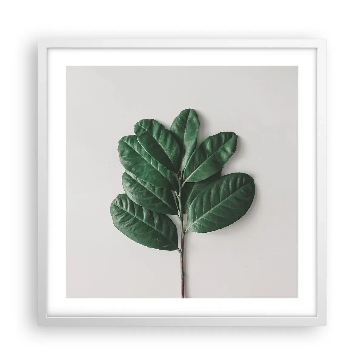 Poster în ramă albă - Desenul naturii însăși - 50x50 cm