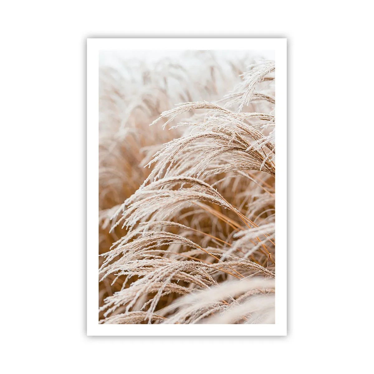 Poster - Închinându-se la soarele toamnei - 61x91 cm