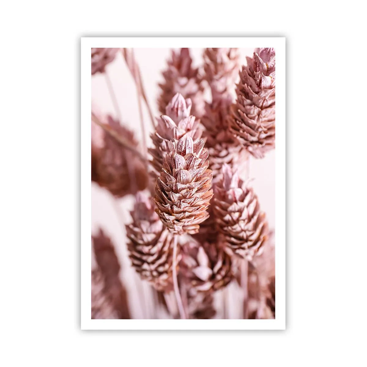 Poster - Aparent discrete - 70x100 cm