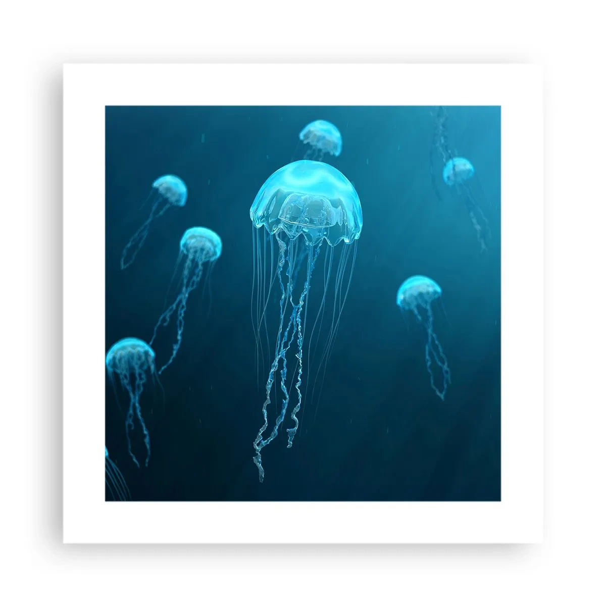 Poster - Dansul oceanic - 40x40 cm