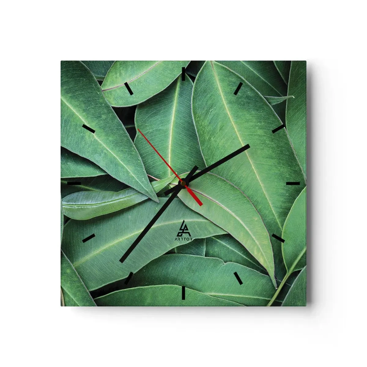 Ceas de perete - Ceas pe sticlă - Suculente și proaspete - 40x40 cm