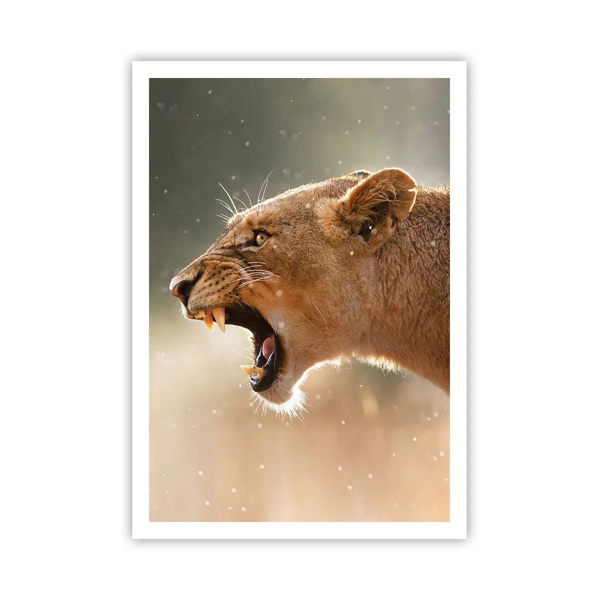 Poster - Încearcă să nu asculți - 70x100 cm