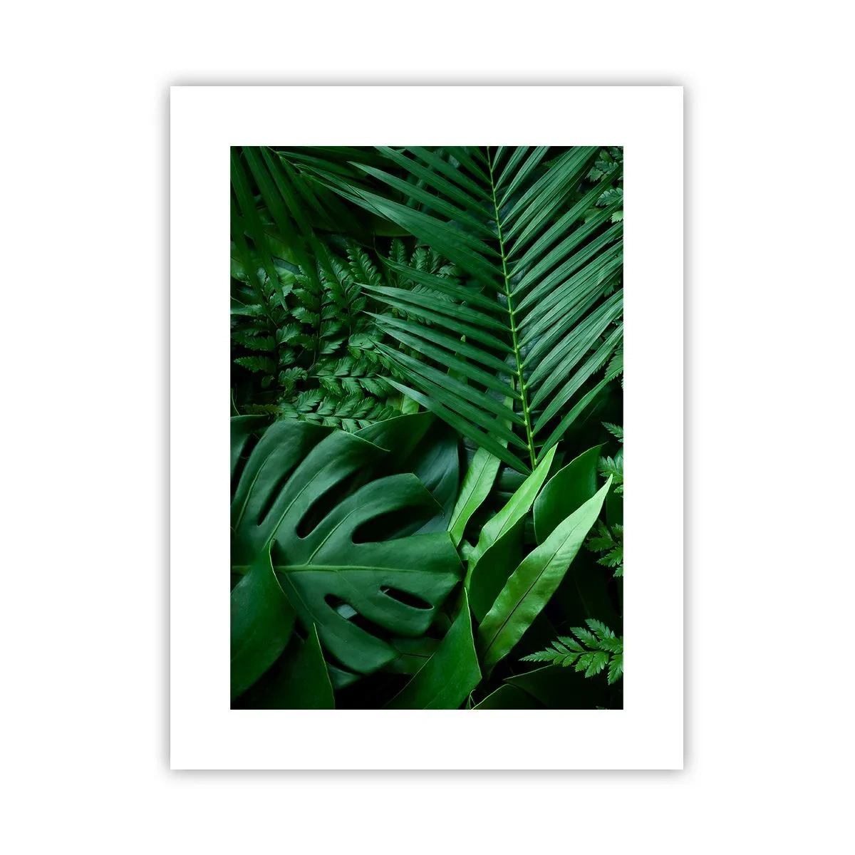Poster - Înfășurate în verde - 30x40 cm