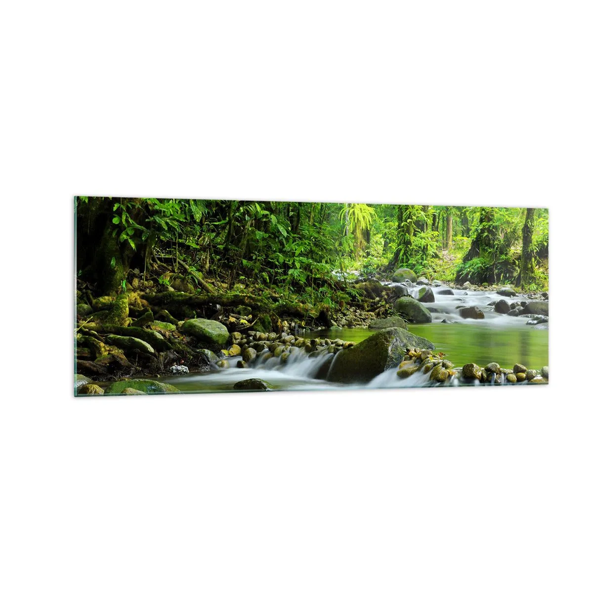 Tablou pe sticlă - Să înotăm într-o mare de verde - 140x50 cm