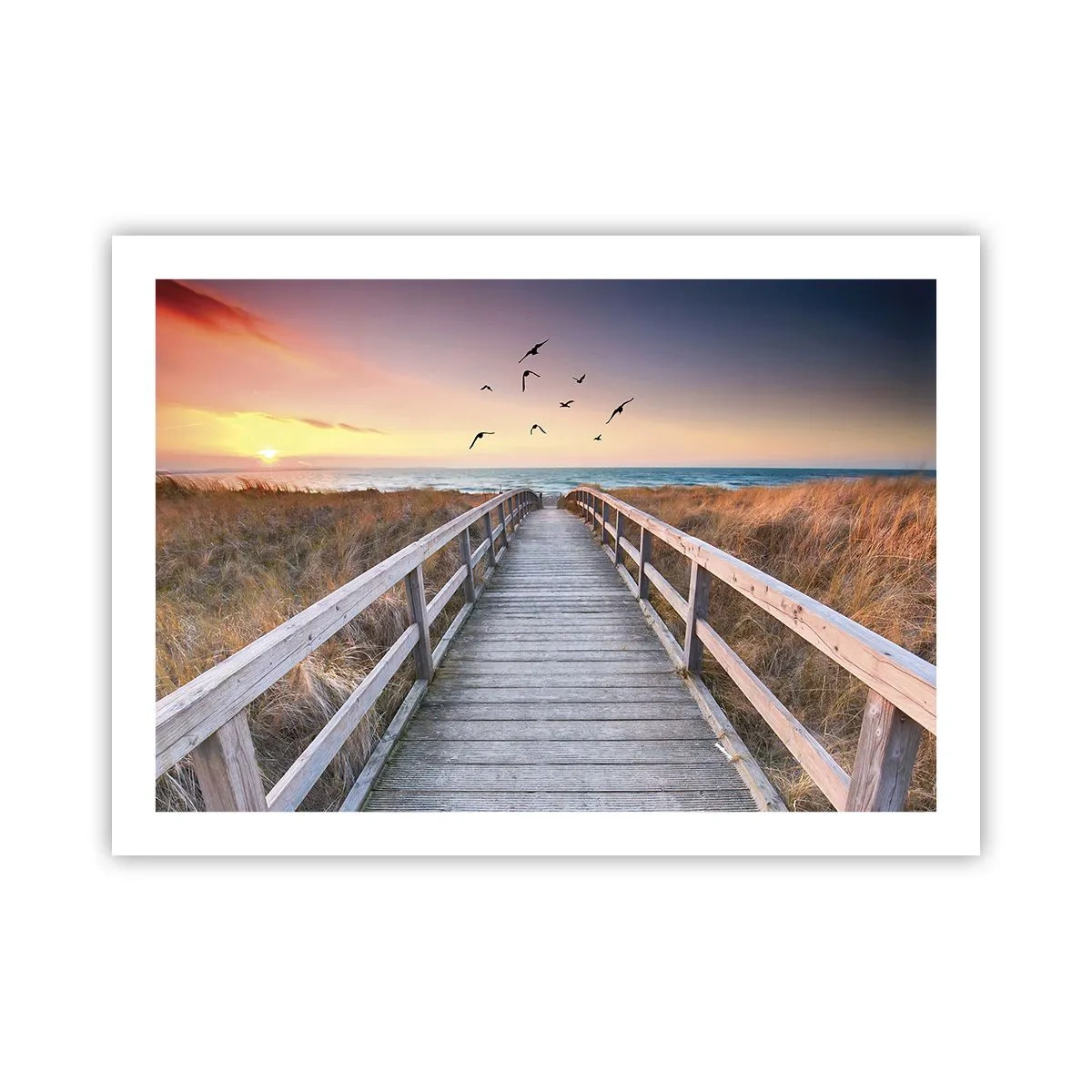 Poster - Spațiul pentru a zbura - 70x50 cm