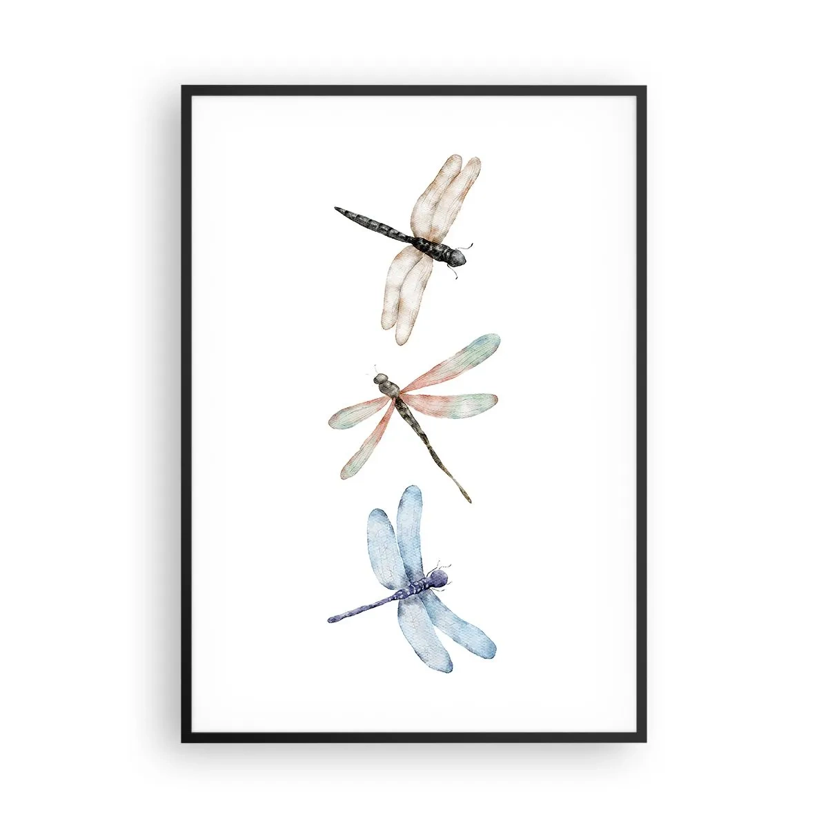 Poster în ramă neagră - Libelule imponderabile - 70x100 cm