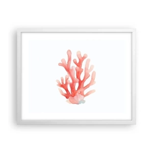 Poster în ramă albă - Culoare de coral - 50x40 cm