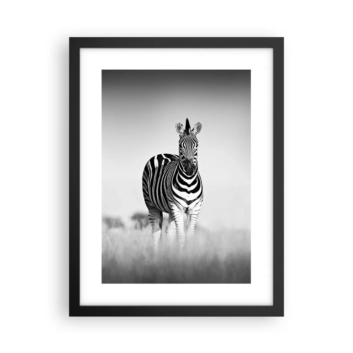 Poster în ramă neagră - Și totuși lumea e albă și neagră - 30x40 cm