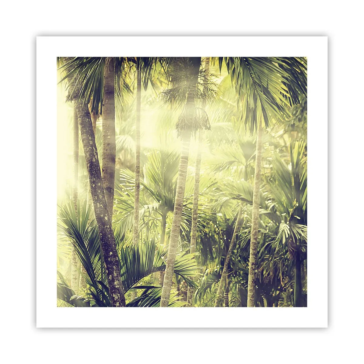 Poster - Ardoare verde - 50x50 cm