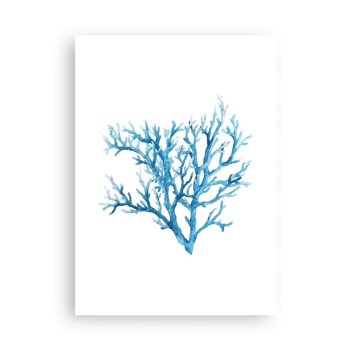 Poster - Filigranul marin - 50x70 cm