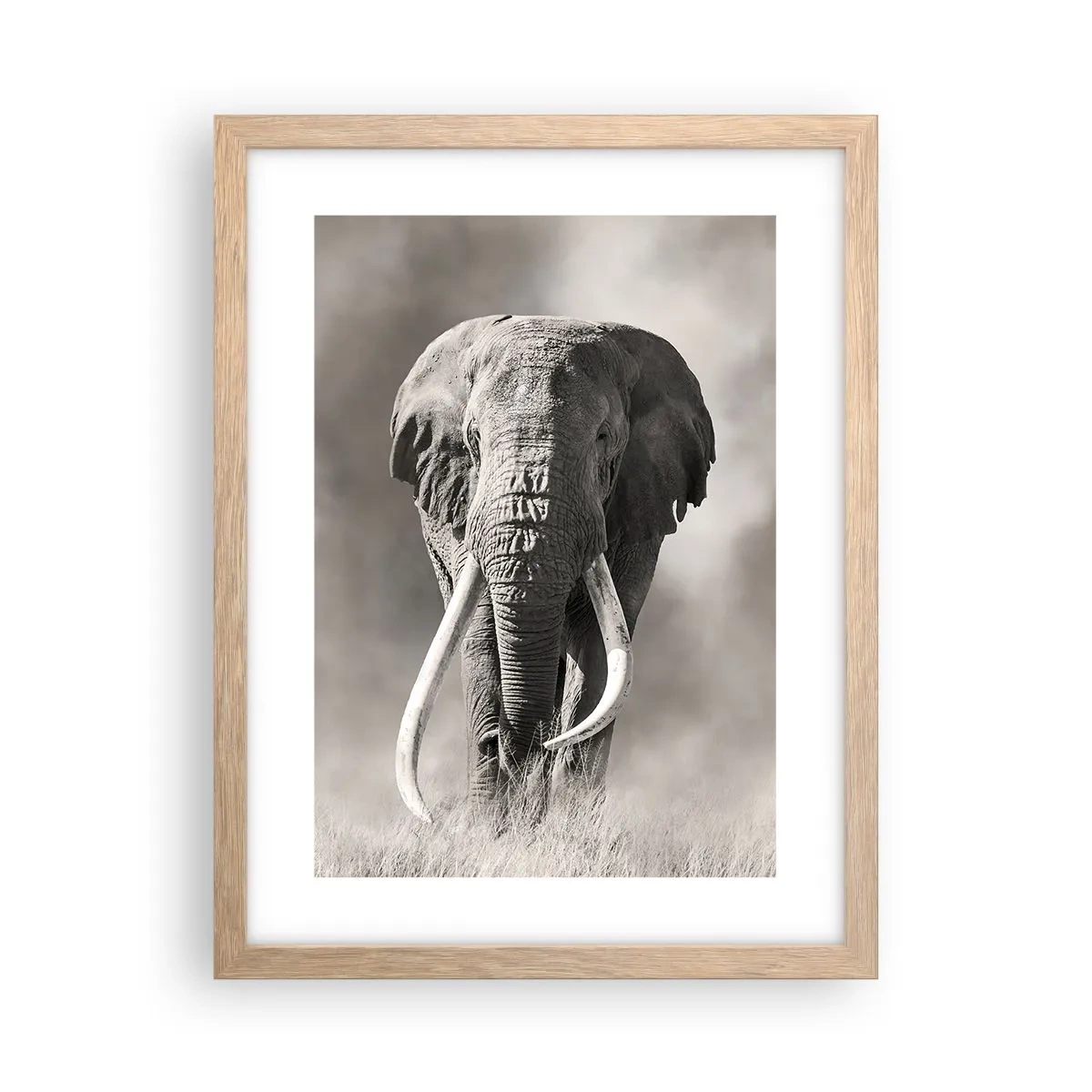 Poster în ramă de stejar deschis - Patriarh african - 30x40 cm