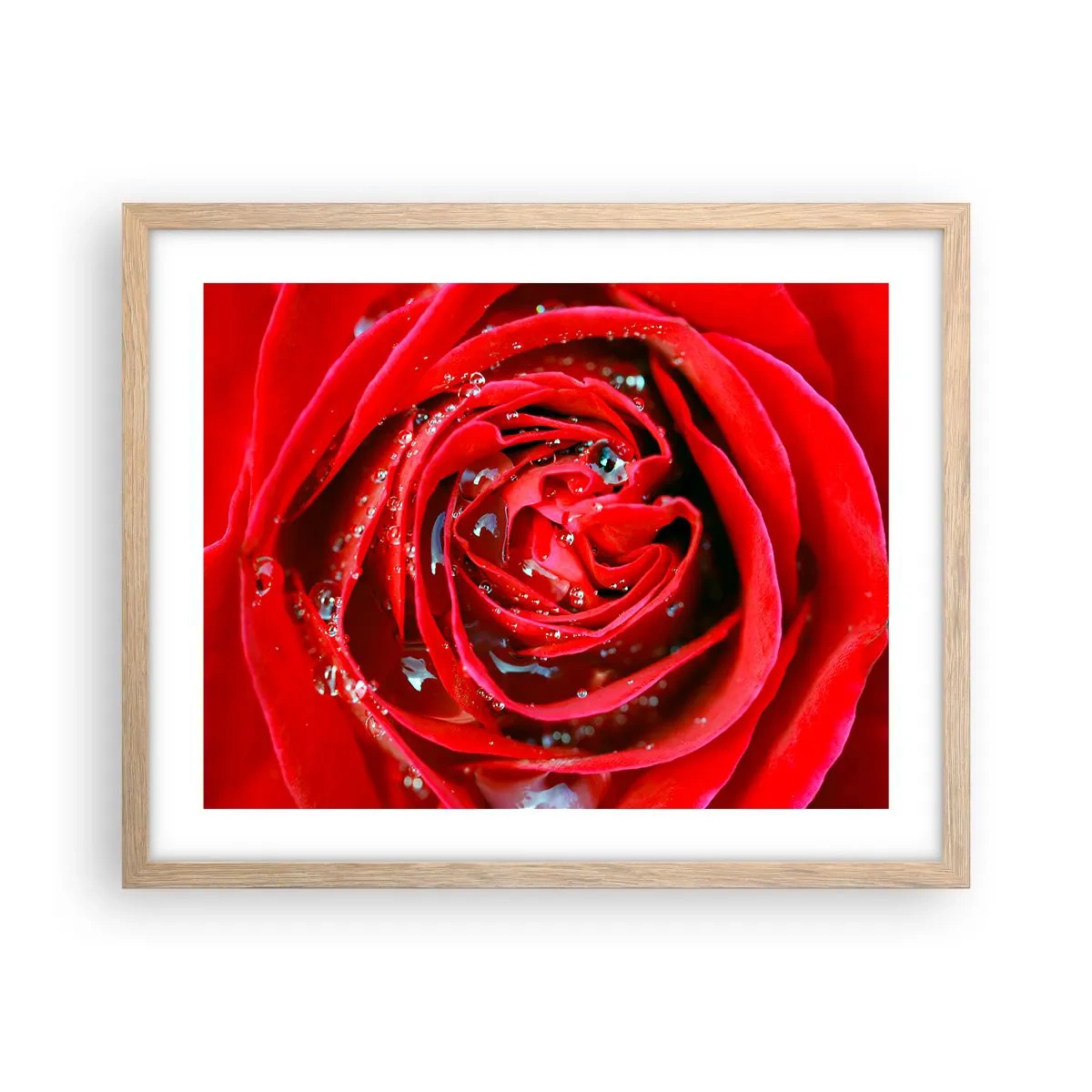 Poster în ramă de stejar deschis - În picături de rouă - 50x40 cm