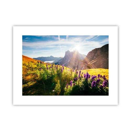 Poster - Viața secretă a ierburilor - 40x30 cm