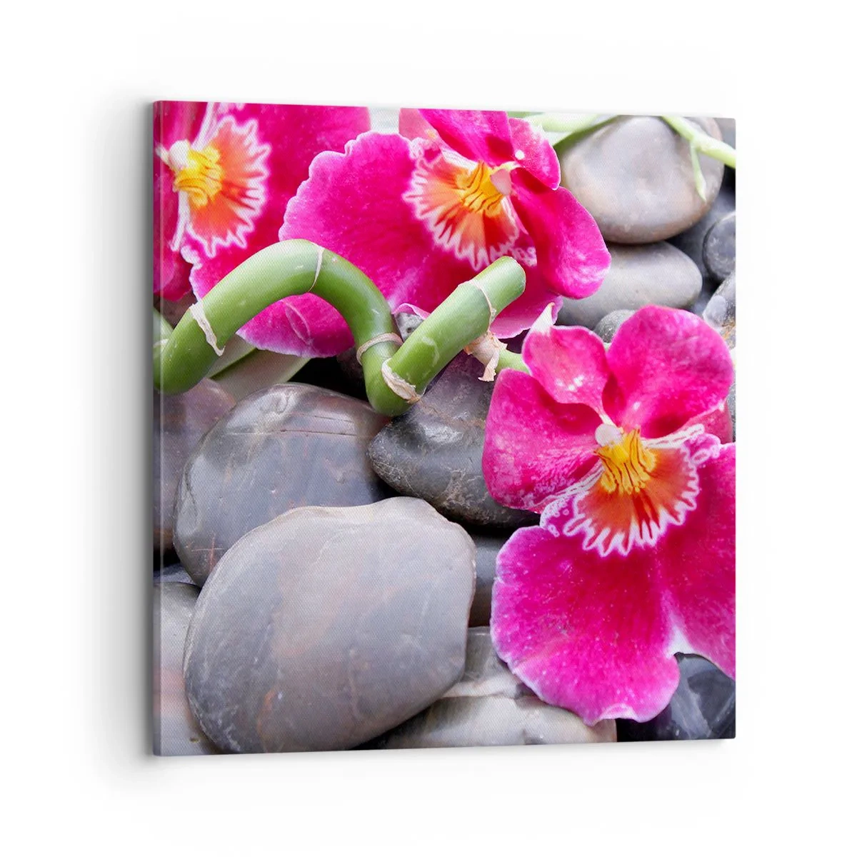 Tablou pe pânză - Frig și căldură - 70x70 cm