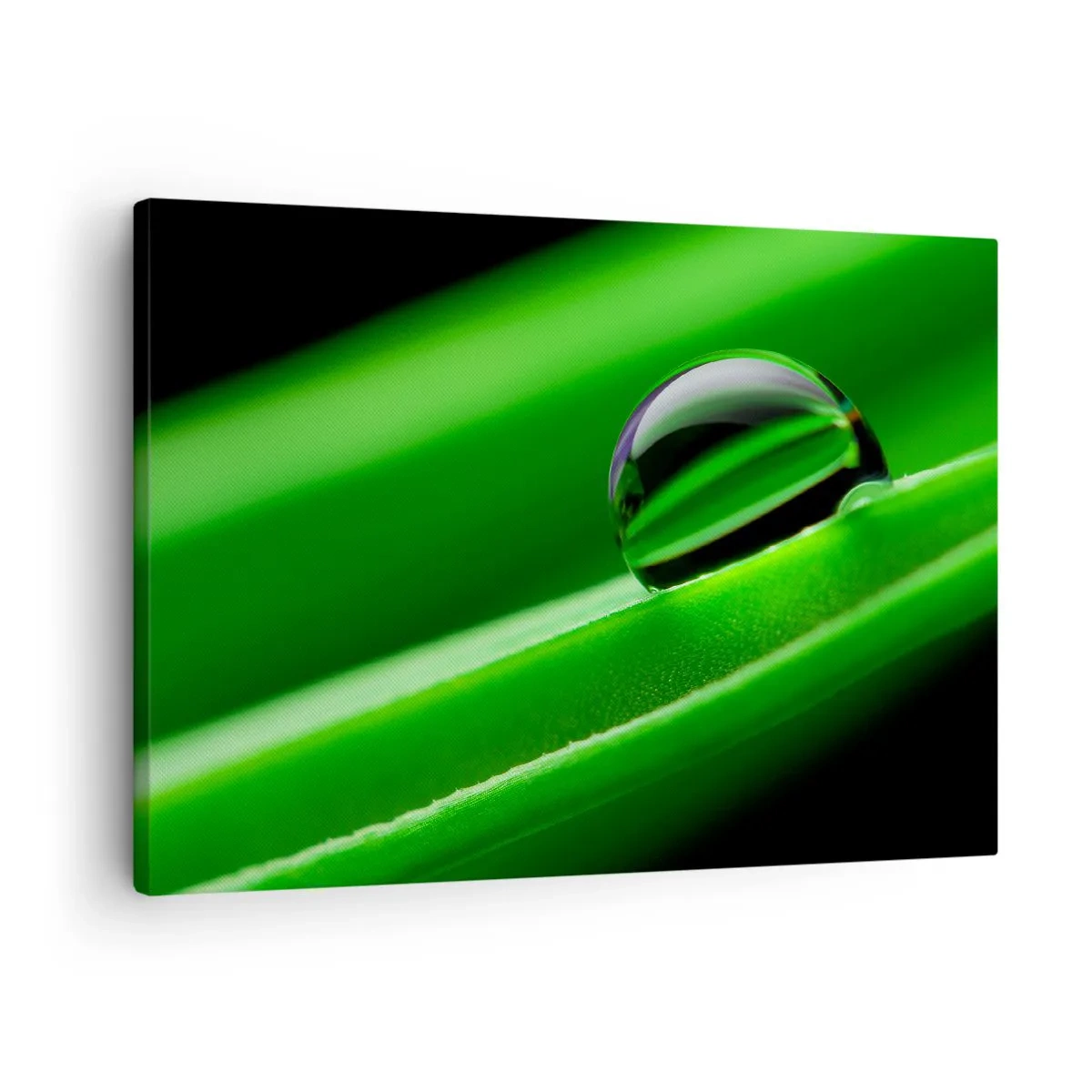 Tablou pe pânză Canvas - Prim-plan al unei picături de rouă pe o frunză verde - 70x50cm - Viața de aproape - Decorațiune modernă pentru perete pentru living și dormitor ARTTOR