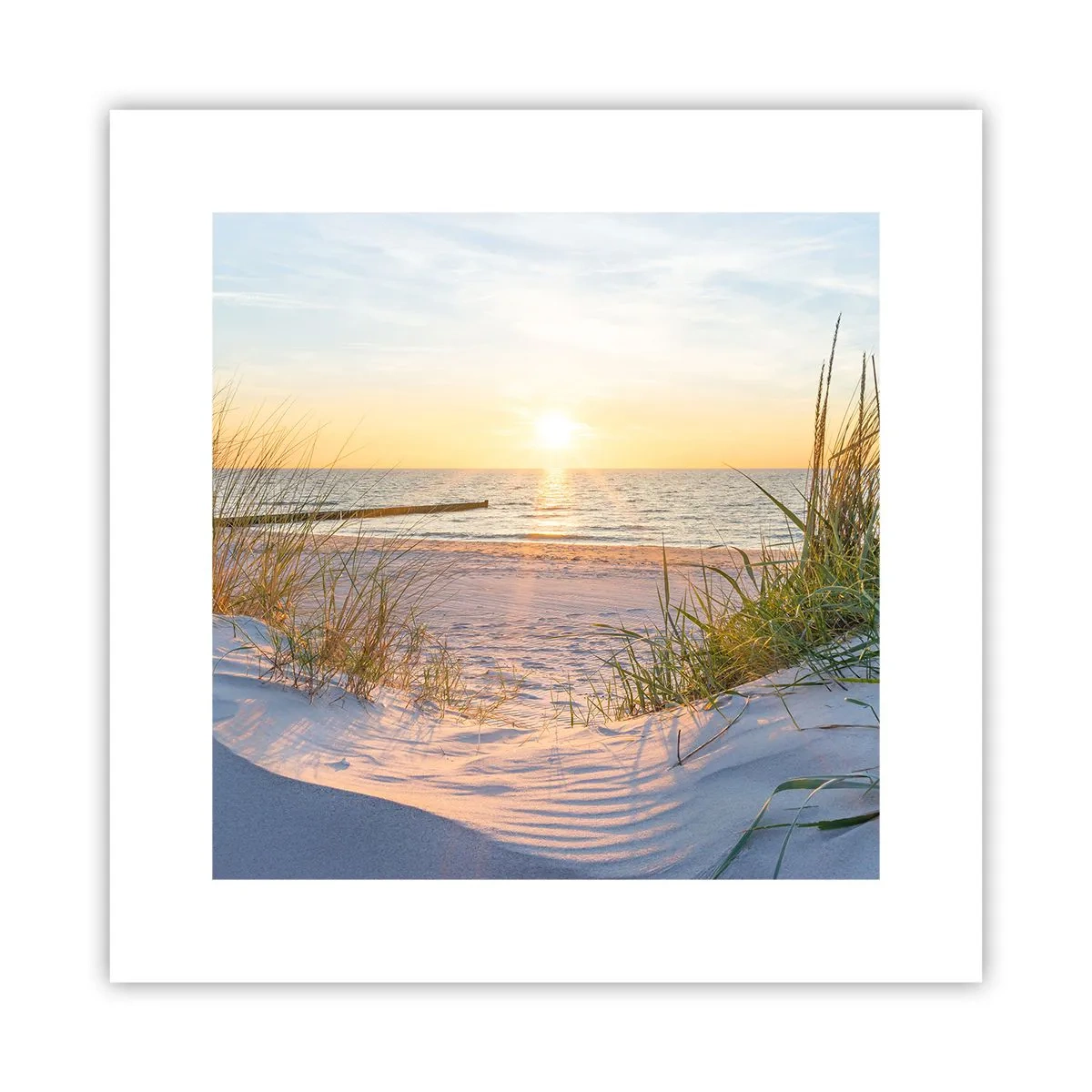 Poster - Zumzet de mare, o plajă sălbatică printre ierburi... - 30x30 cm