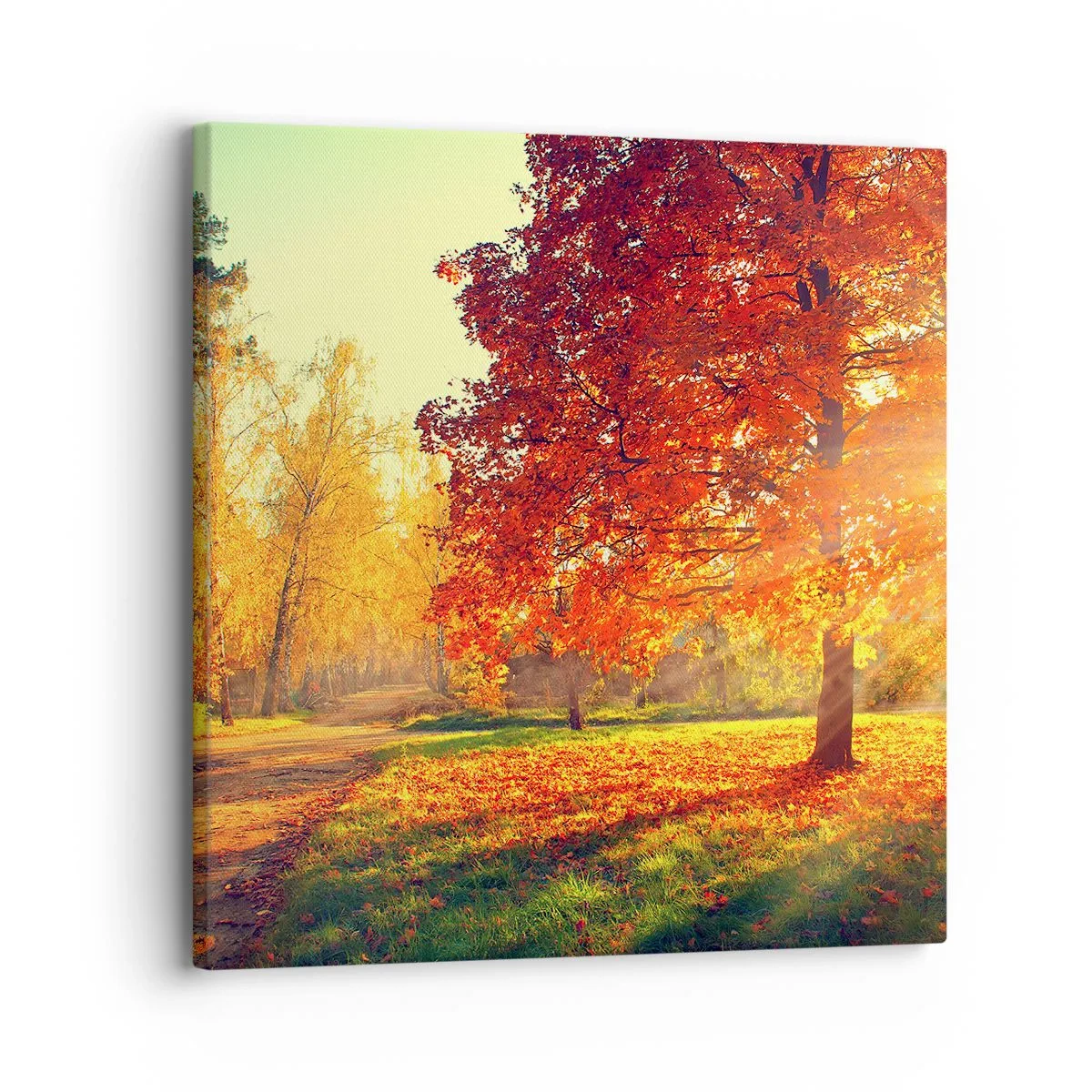 Tablou pe pânză - Roșcatul este frumos - 30x30 cm