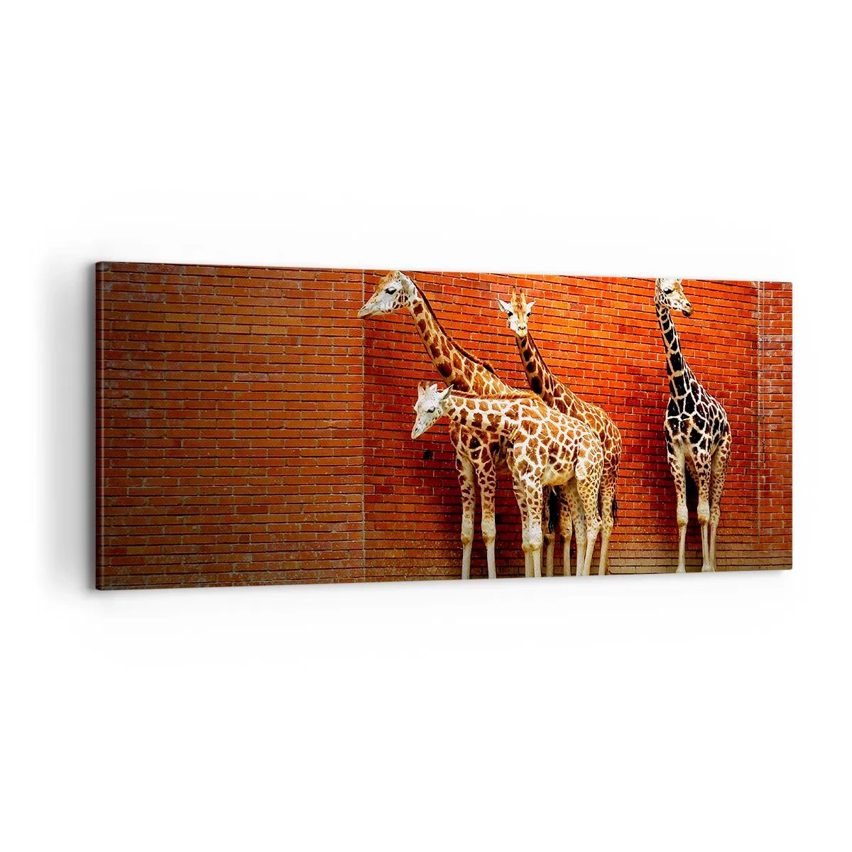 Tablou pe pânză - Vezi vreun salcâm? - 100x40 cm