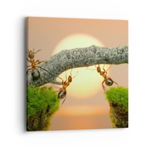 Tablou pe pânză - Cooperare veselă - 40x40 cm