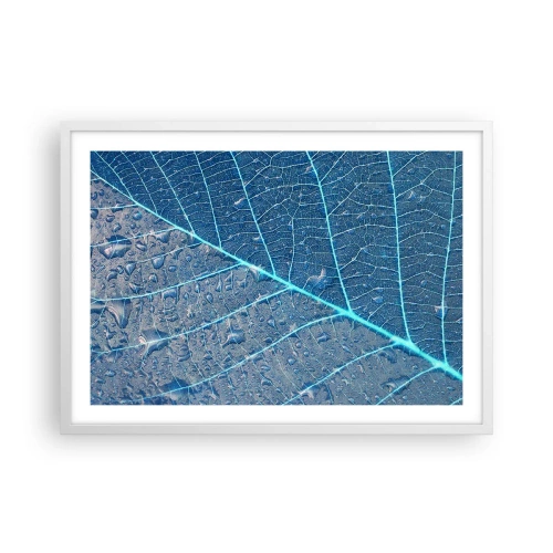 Poster în ramă albă - Viața în albastru - 70x50 cm