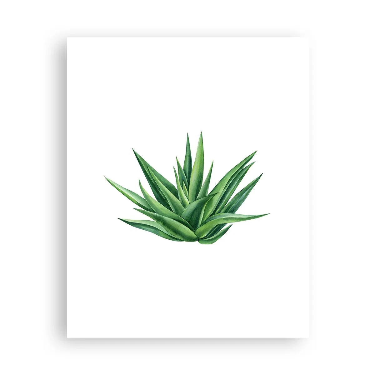 Poster - Verde - putere - viață - 40x50 cm
