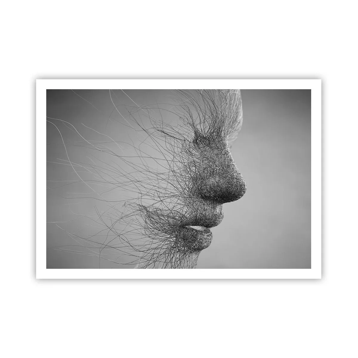 Poster - Spiritul vântului - 100x70 cm