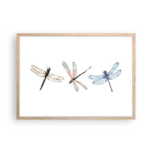 Poster în ramă de stejar deschis - Libelule imponderabile - 70x50 cm