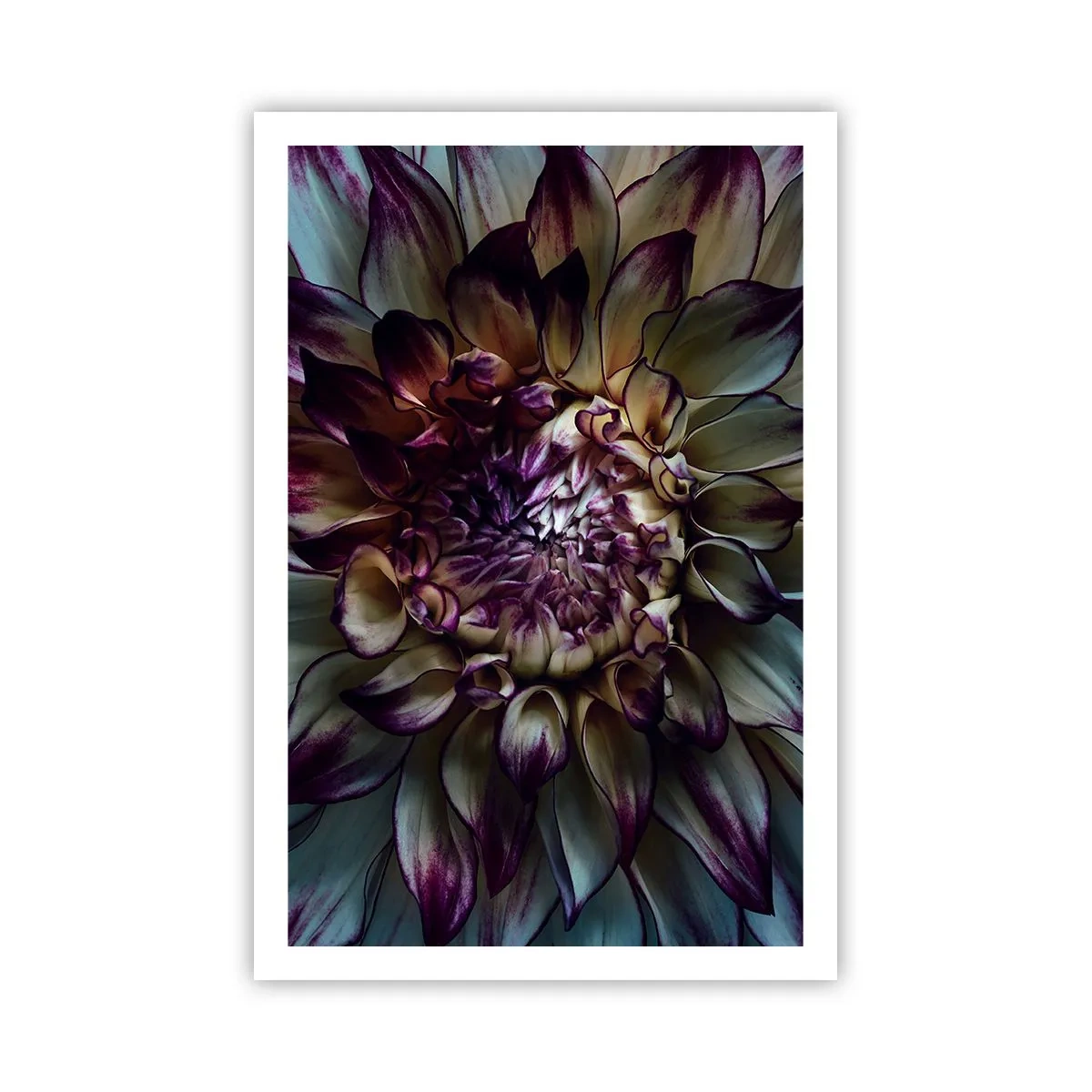 Poster - Înflorirea tinereții - 61x91 cm