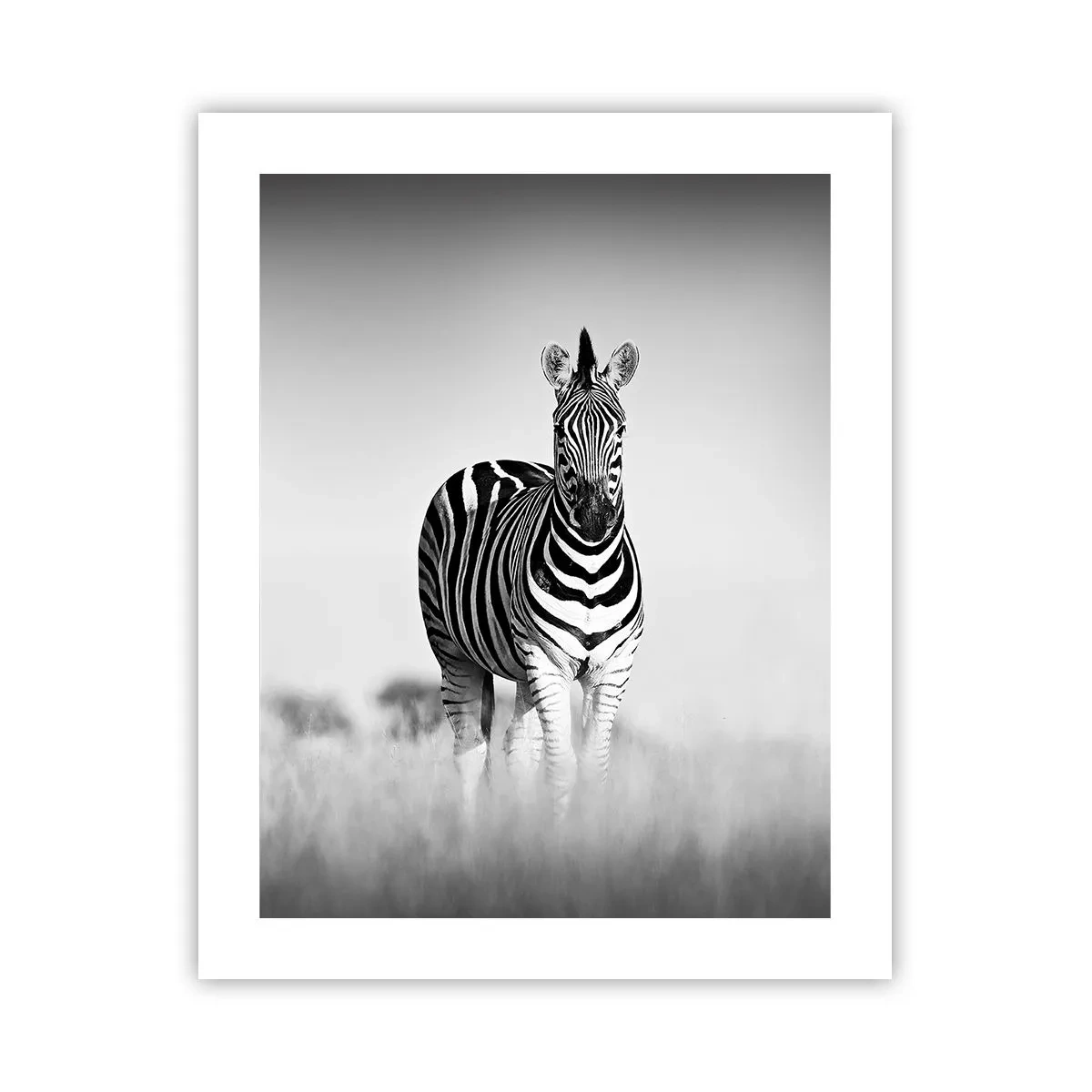 Poster - Și totuși lumea e albă și neagră - 40x50 cm