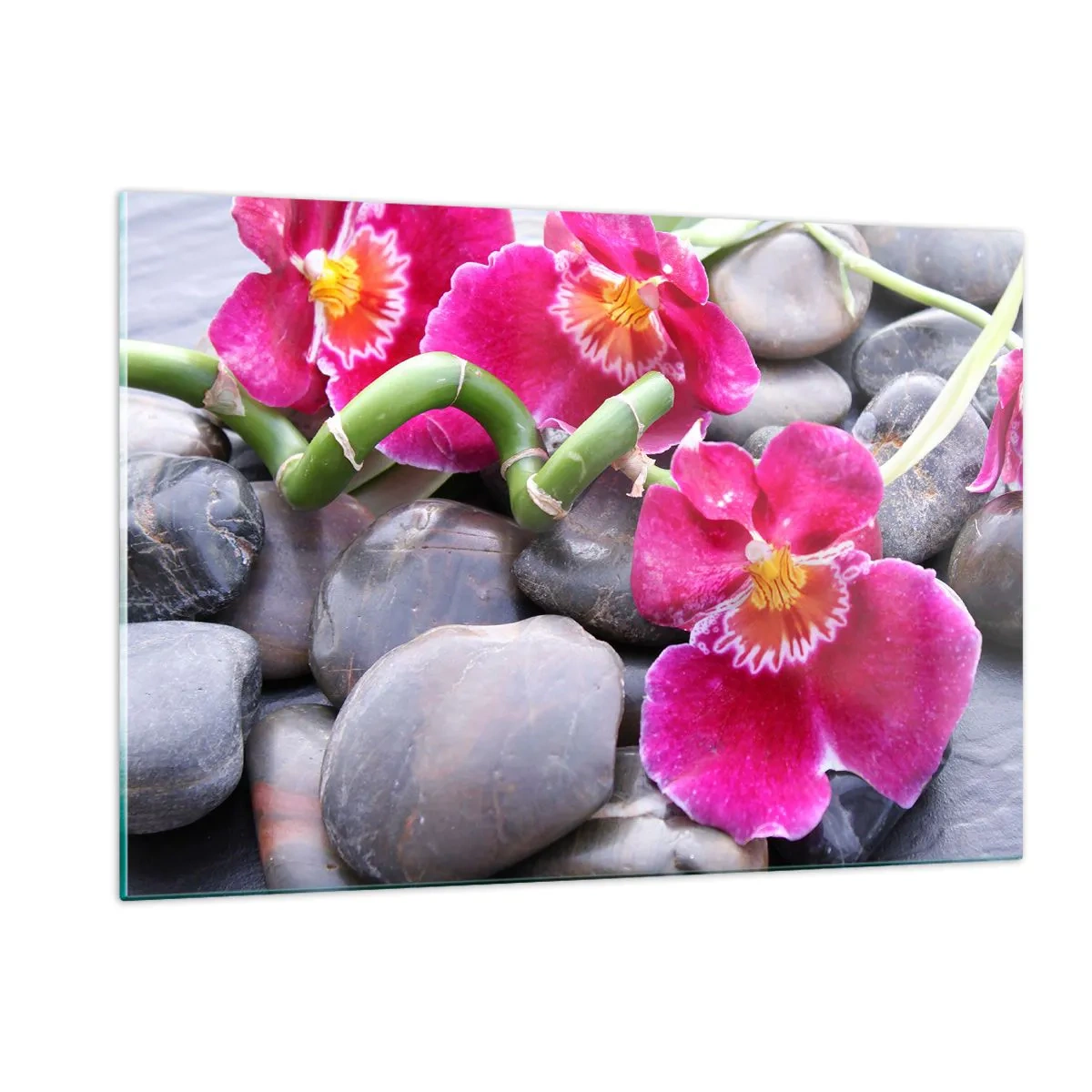 Tablou pe sticlă - Frig și căldură - 120x80 cm