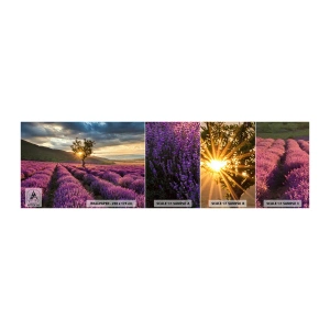 Mostră tapet autocolant Deluxe Sticker - Aroma în liliac - Peisaj, Lavandă, Provence - 100x30 cm