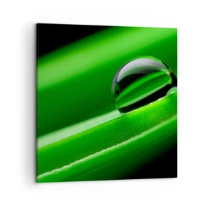 Tablou pe pânză - Viața de aproape - 50x50 cm