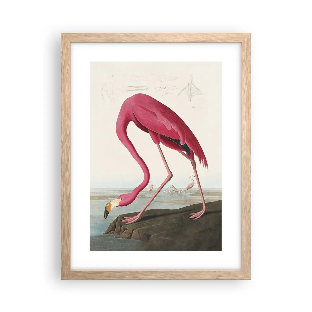 Poster în ramă de stejar deschis - O creatură uimitoare - 30x40 cm